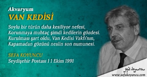 VAN KEDİSİ