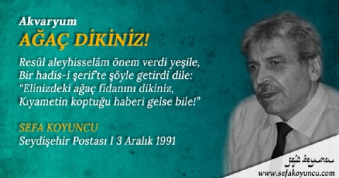 AĞAÇ DİKİNİZ!