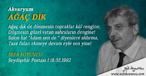 AĞAÇ DİK