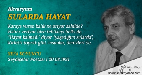 SULARDA HAYAT