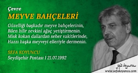 MEYVE BAHÇELERİ