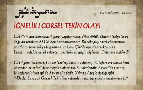 GÜRSEL TEKİN OLAYI