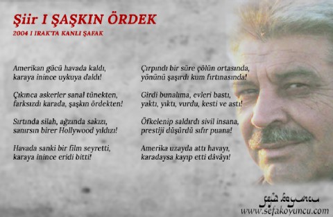 ŞAŞKIN ÖRDEK