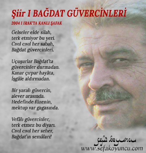 BAĞDAT GÜVERCİNLERİ