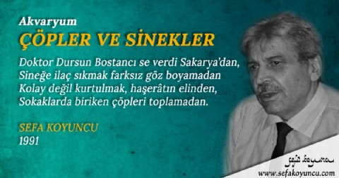 ÇÖPLER VE SİNEKLER