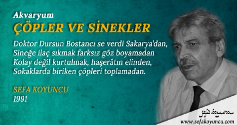 ÇÖPLER VE SİNEKLER