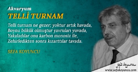 TELLİ TURNAM