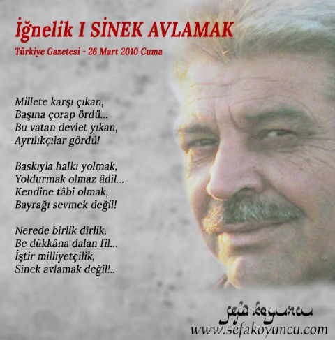 SİNEK AVLAMAK