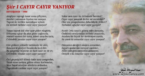 CAYIR CAYIR YANIYOR