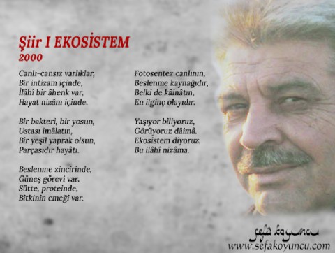 EKOSİSTEM