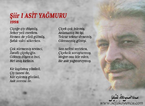 ASİT YAĞMURU