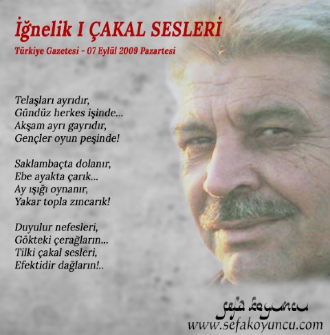 ÇAKAL SESLERİ