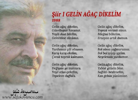 GELİN AĞAÇ DİKELİM