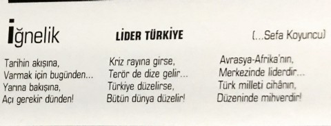 LİDER TÜRKİYE