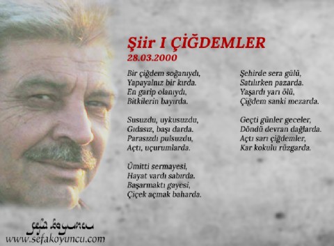 ÇİĞDEMLER