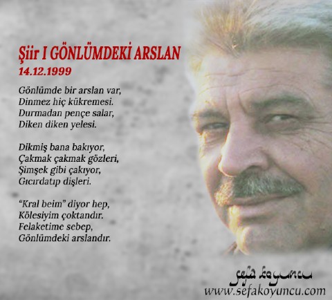 GÖNLÜMDEKİ ARSLAN