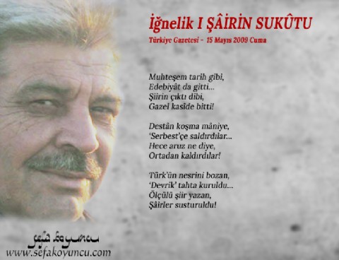 ŞÂİRİN SUKÛTU