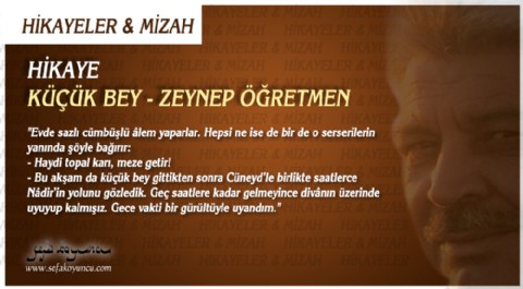 HİKAYE I KÜÇÜK BEY - ZEYNEP ÖĞRETMEN