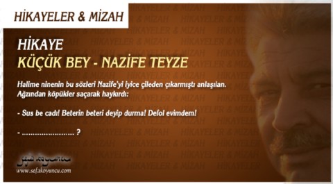 HİKAYE I KÜÇÜK BEY - NAZİFE TEYZE