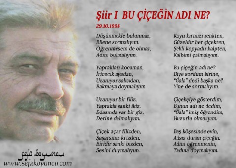 BU ÇİÇEĞİN ADI NE?