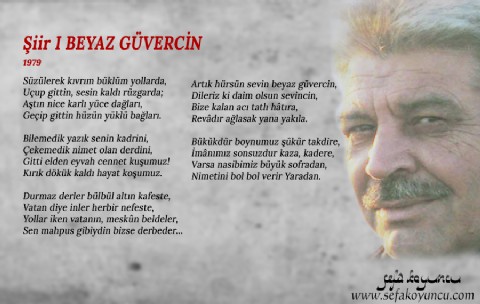 BEYAZ GÜVERCİN