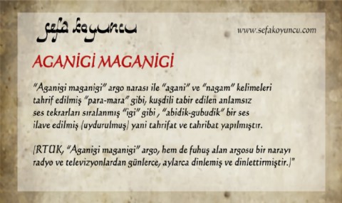 AGANİGİ MAGANİGİ