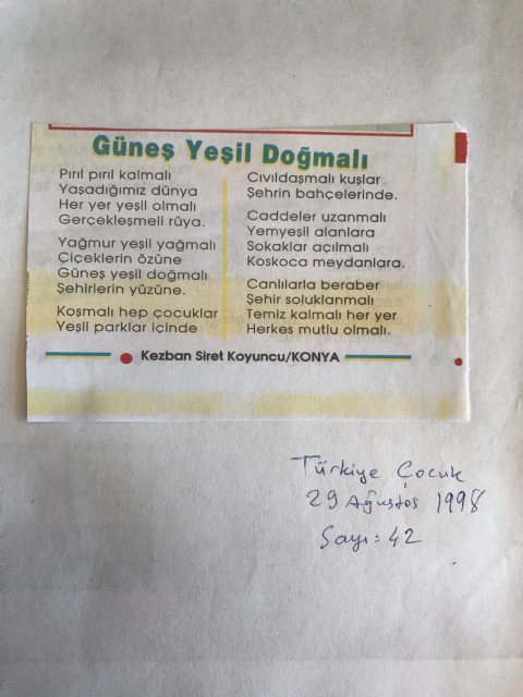 GÜNEŞ YEŞİL DOĞMALI