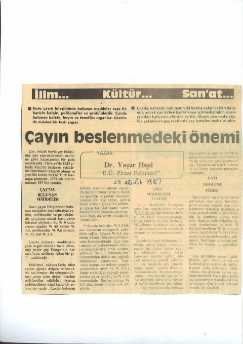 Çayın Beslenmedeki Önemi