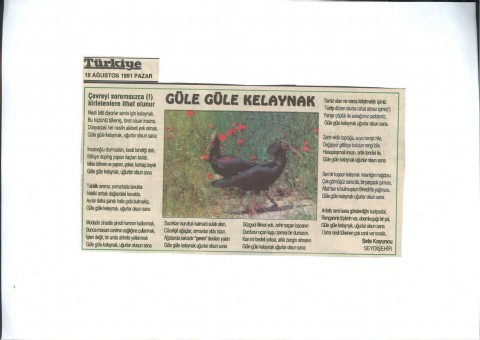 GÜLE GÜLE KELAYNAK