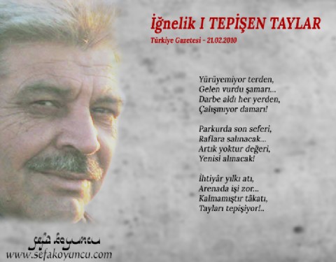 TEPİŞEN TAYLAR