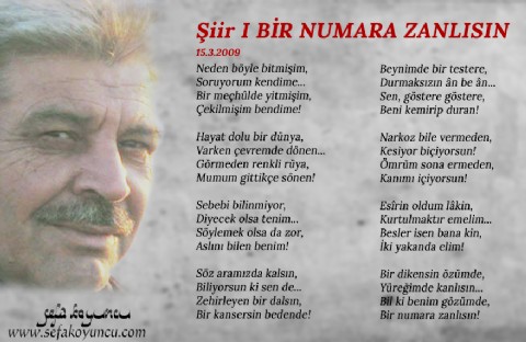 BİR NUMARA ZANLISIN